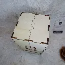 P1130911.webp