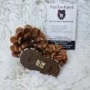 Compteur points de vie / victoire