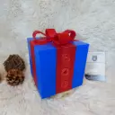 Boite cadeau  [casse-tête]